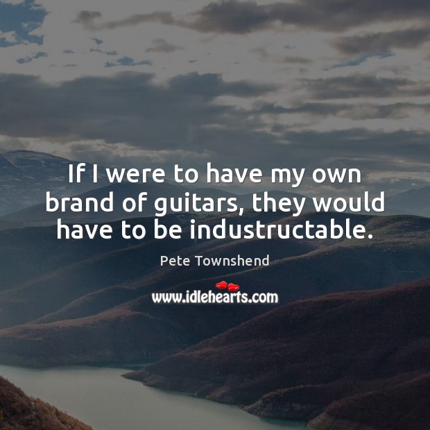 If I were to have my own brand of guitars, they would have to be industructable. Image
