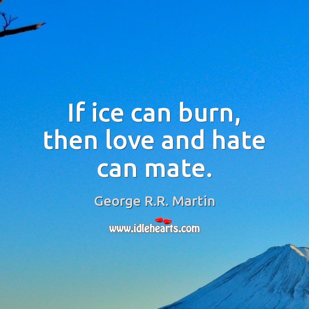 If ice can burn, then love and hate can mate. Love and Hate Quotes Image