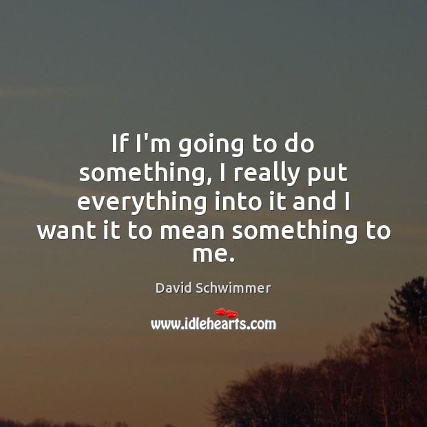 If I’m going to do something, I really put everything into it David Schwimmer Picture Quote