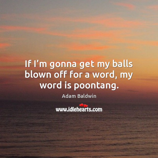 If I’m gonna get my balls blown off for a word, my word is poontang. Adam Baldwin Picture Quote