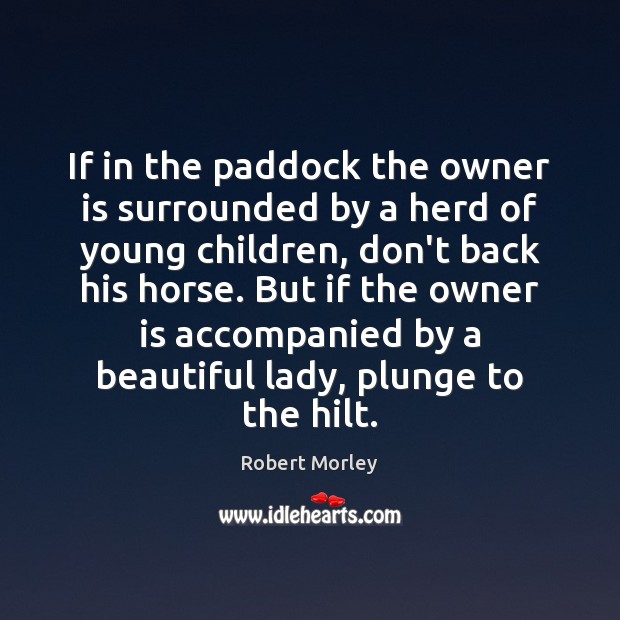 If in the paddock the owner is surrounded by a herd of Robert Morley Picture Quote
