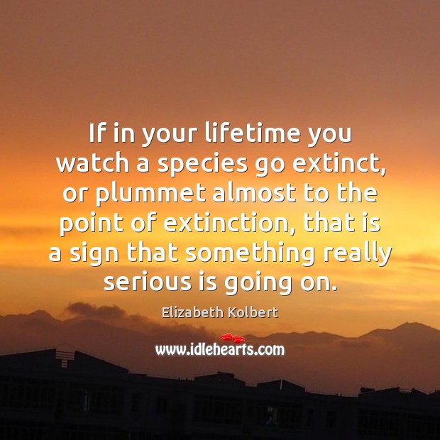 If in your lifetime you watch a species go extinct, or plummet Elizabeth Kolbert Picture Quote