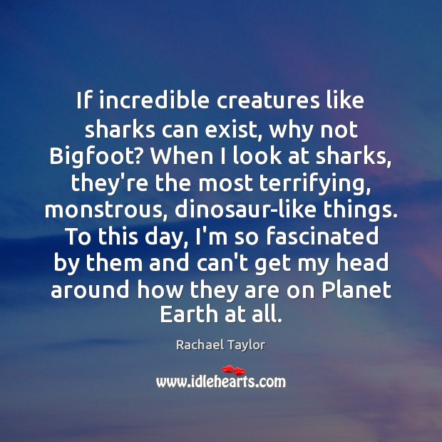 If incredible creatures like sharks can exist, why not Bigfoot? When I 
