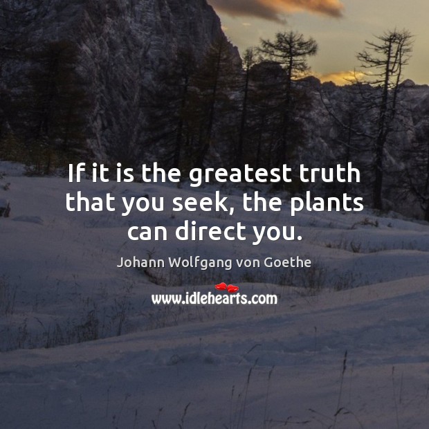 If it is the greatest truth that you seek, the plants can direct you. Johann Wolfgang von Goethe Picture Quote