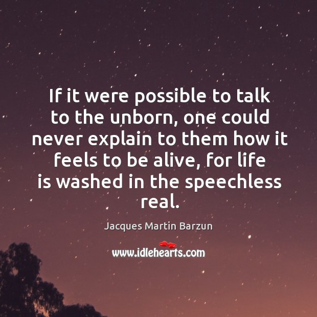 If it were possible to talk to the unborn, one could never explain to them how it feels to be alive Jacques Martin Barzun Picture Quote
