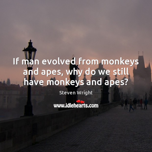 If man evolved from monkeys and apes, why do we still have monkeys and apes? Steven Wright Picture Quote