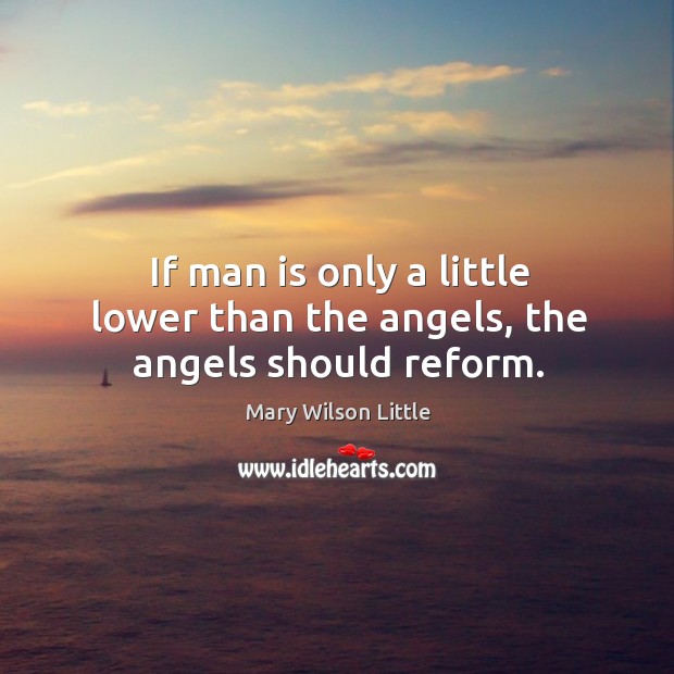 If man is only a little lower than the angels, the angels should reform. Mary Wilson Little Picture Quote