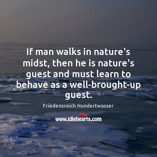 If man walks in nature’s midst, then he is nature’s guest and Friedensreich Hundertwasser Picture Quote