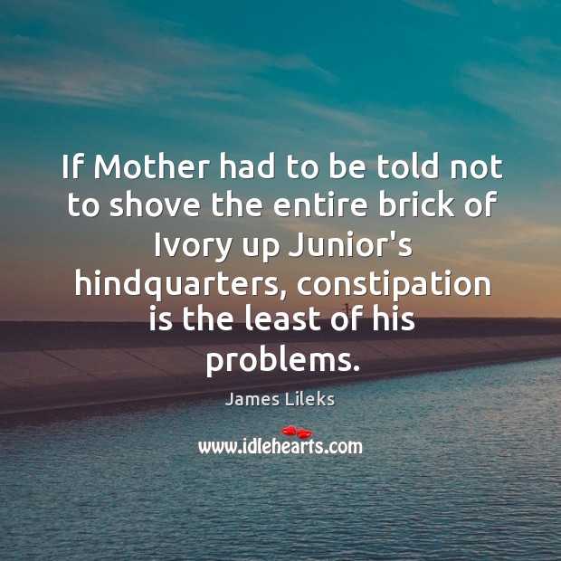 If Mother had to be told not to shove the entire brick James Lileks Picture Quote