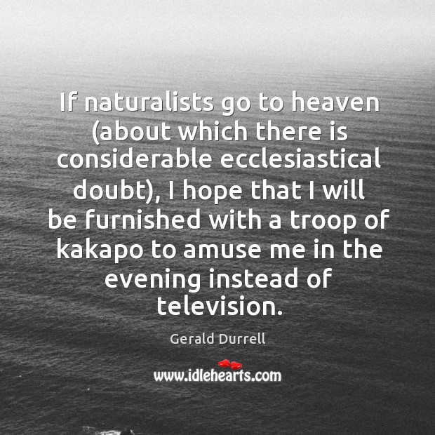 If naturalists go to heaven (about which there is considerable ecclesiastical doubt), Gerald Durrell Picture Quote