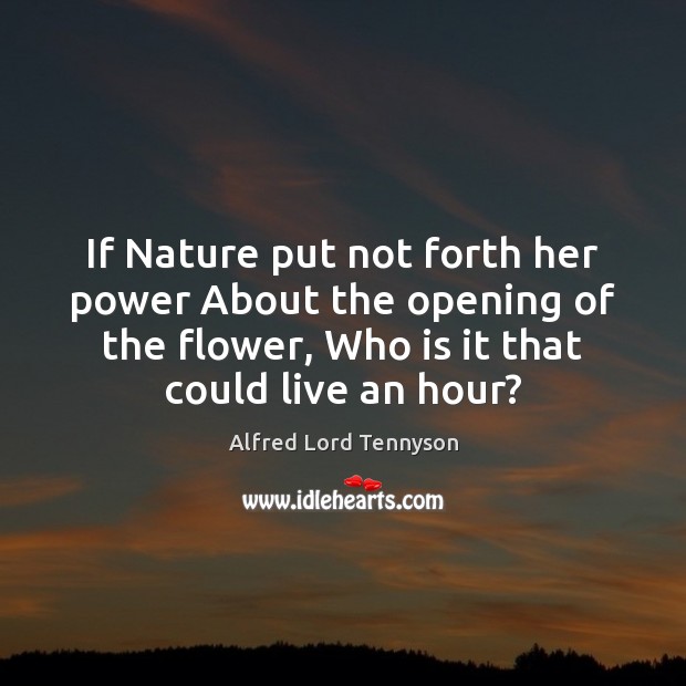 If Nature put not forth her power About the opening of the Flowers Quotes Image