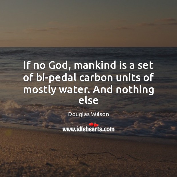 If no God, mankind is a set of bi-pedal carbon units of mostly water. And nothing else Image