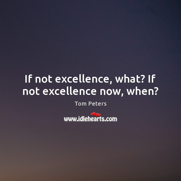If not excellence, what? If not excellence now, when? Tom Peters Picture Quote
