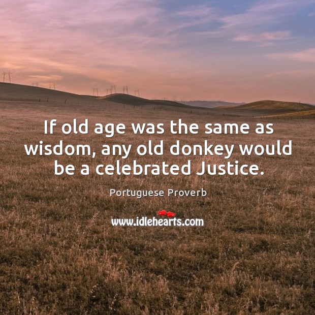 If old age was the same as wisdom, any old donkey would be a celebrated justice. Portuguese Proverbs Image