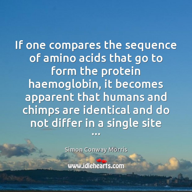 If one compares the sequence of amino acids that go to form Simon Conway Morris Picture Quote