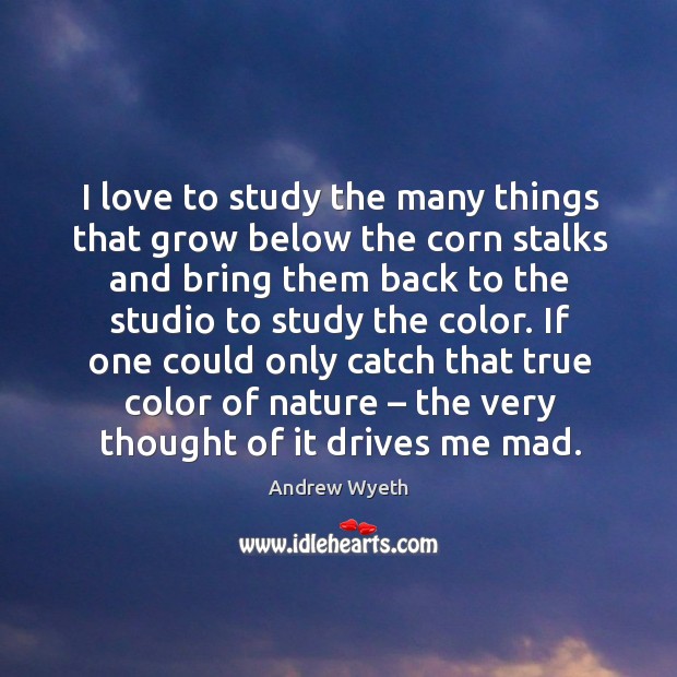 If one could only catch that true color of nature – the very thought of it drives me mad. Andrew Wyeth Picture Quote