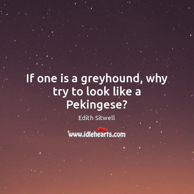 If one is a greyhound, why try to look like a Pekingese? Image