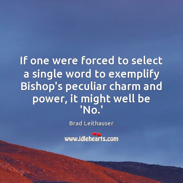 If one were forced to select a single word to exemplify Bishop’s Image