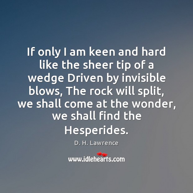 If only I am keen and hard like the sheer tip of D. H. Lawrence Picture Quote