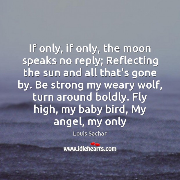 If only, if only, the moon speaks no reply; Reflecting the sun Louis Sachar Picture Quote