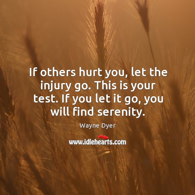 If others hurt you, let the injury go. This is your test. Wayne Dyer Picture Quote