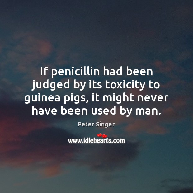 If penicillin had been judged by its toxicity to guinea pigs, it Peter Singer Picture Quote