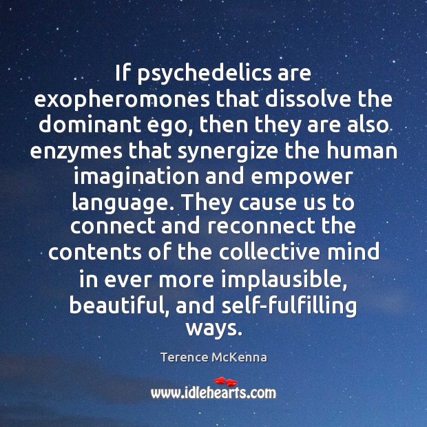 If psychedelics are exopheromones that dissolve the dominant ego, then they are Terence McKenna Picture Quote