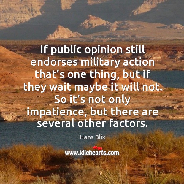 If public opinion still endorses military action that’s one thing, but if they wait maybe it will not. Hans Blix Picture Quote