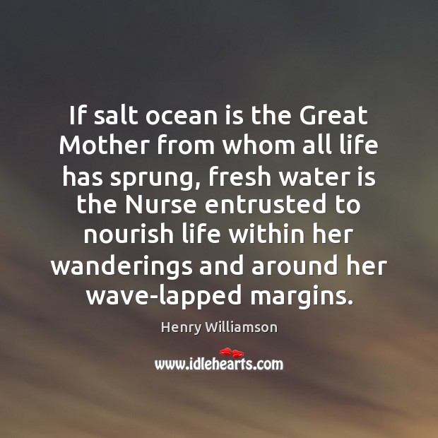 If salt ocean is the Great Mother from whom all life has Henry Williamson Picture Quote