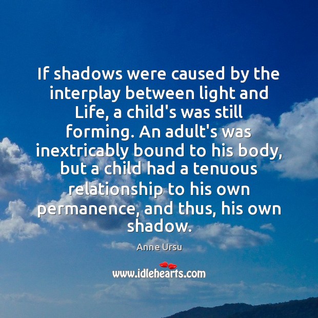 If shadows were caused by the interplay between light and Life, a Anne Ursu Picture Quote