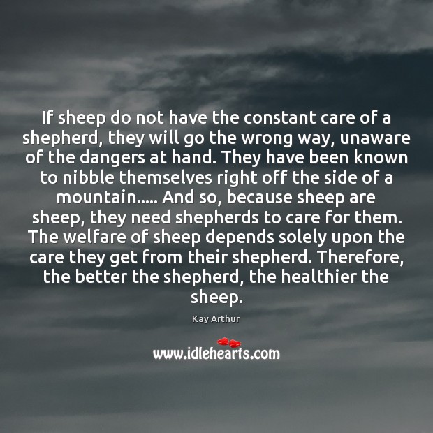 If sheep do not have the constant care of a shepherd, they Kay Arthur Picture Quote