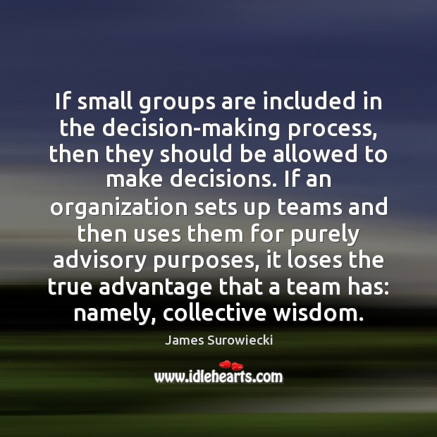 If small groups are included in the decision-making process, then they should James Surowiecki Picture Quote