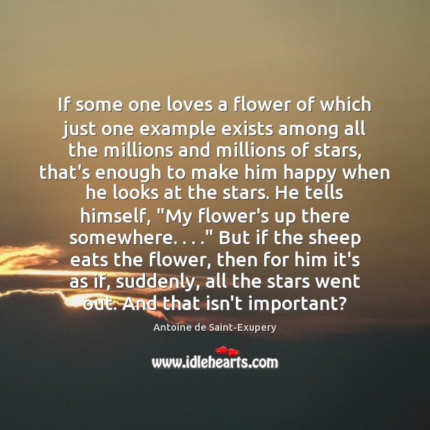 If some one loves a flower of which just one example exists Antoine de Saint-Exupery Picture Quote