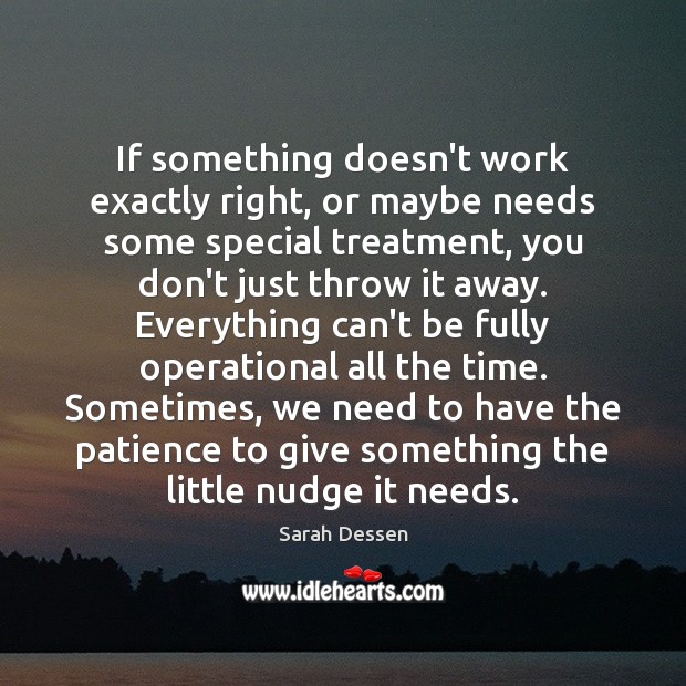 If something doesn’t work exactly right, or maybe needs some special treatment, Sarah Dessen Picture Quote