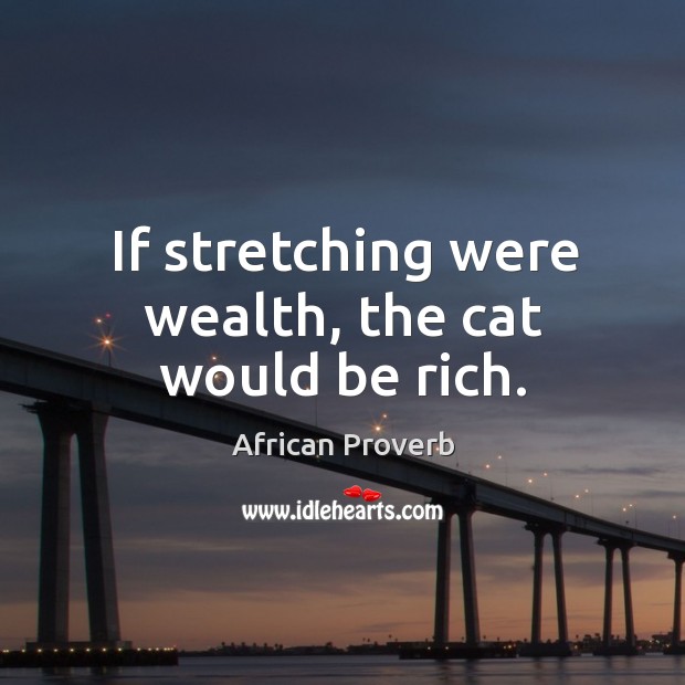 If stretching were wealth, the cat would be rich. African Proverbs Image