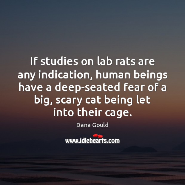 If studies on lab rats are any indication, human beings have a Dana Gould Picture Quote