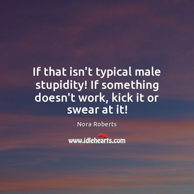 If that isn’t typical male stupidity! If something doesn’t work, kick it or swear at it! Nora Roberts Picture Quote