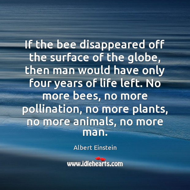 If the bee disappeared off the surface of the globe, then man Image