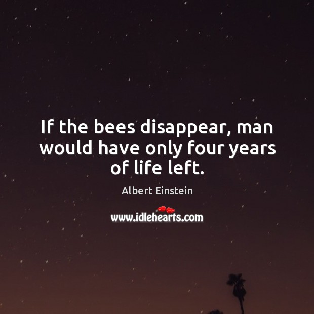 If the bees disappear, man would have only four years of life left. Image