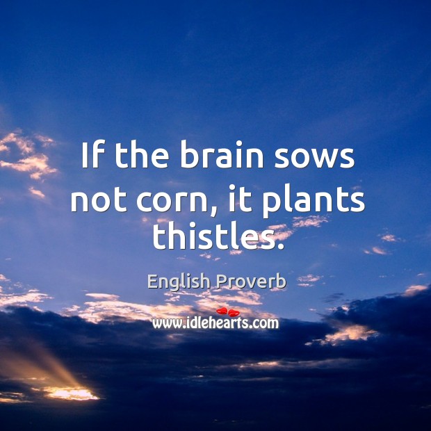 If the brain sows not corn, it plants thistles. Image