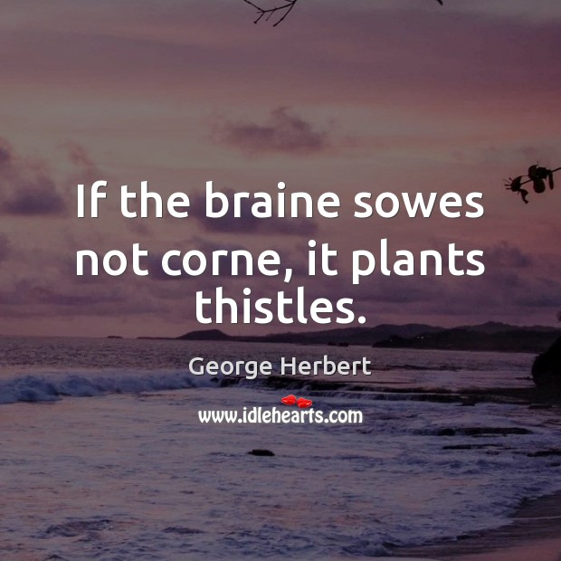 If the braine sowes not corne, it plants thistles. George Herbert Picture Quote