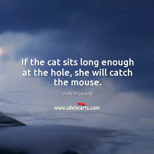 If the cat sits long enough at the hole, she will catch the mouse. Image