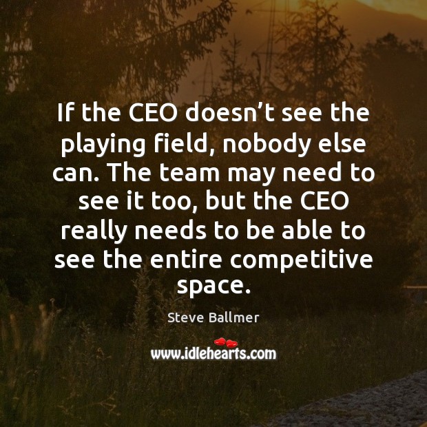 If the CEO doesn’t see the playing field, nobody else can. Image