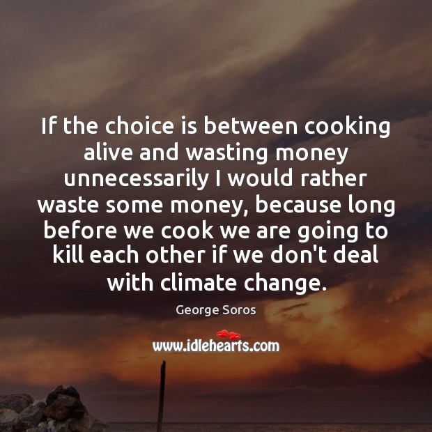If the choice is between cooking alive and wasting money unnecessarily I George Soros Picture Quote