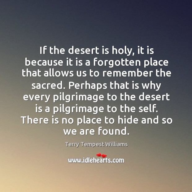 If the desert is holy, it is because it is a forgotten Terry Tempest Williams Picture Quote