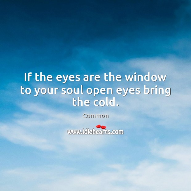 If the eyes are the window to your soul open eyes bring the cold. Common Picture Quote