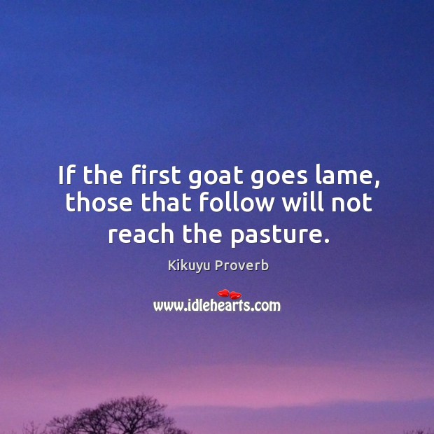 If the first goat goes lame, those that follow will not reach the pasture. Kikuyu Proverbs Image
