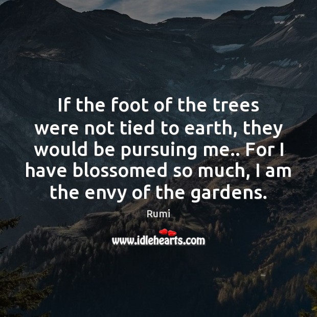 If the foot of the trees were not tied to earth, they 