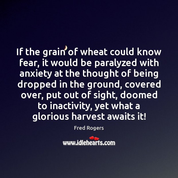 If the grain of wheat could know fear, it would be paralyzed Image