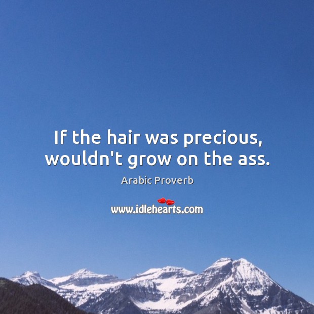 If the hair was precious, wouldn’t grow on the ass. Arabic Proverbs Image